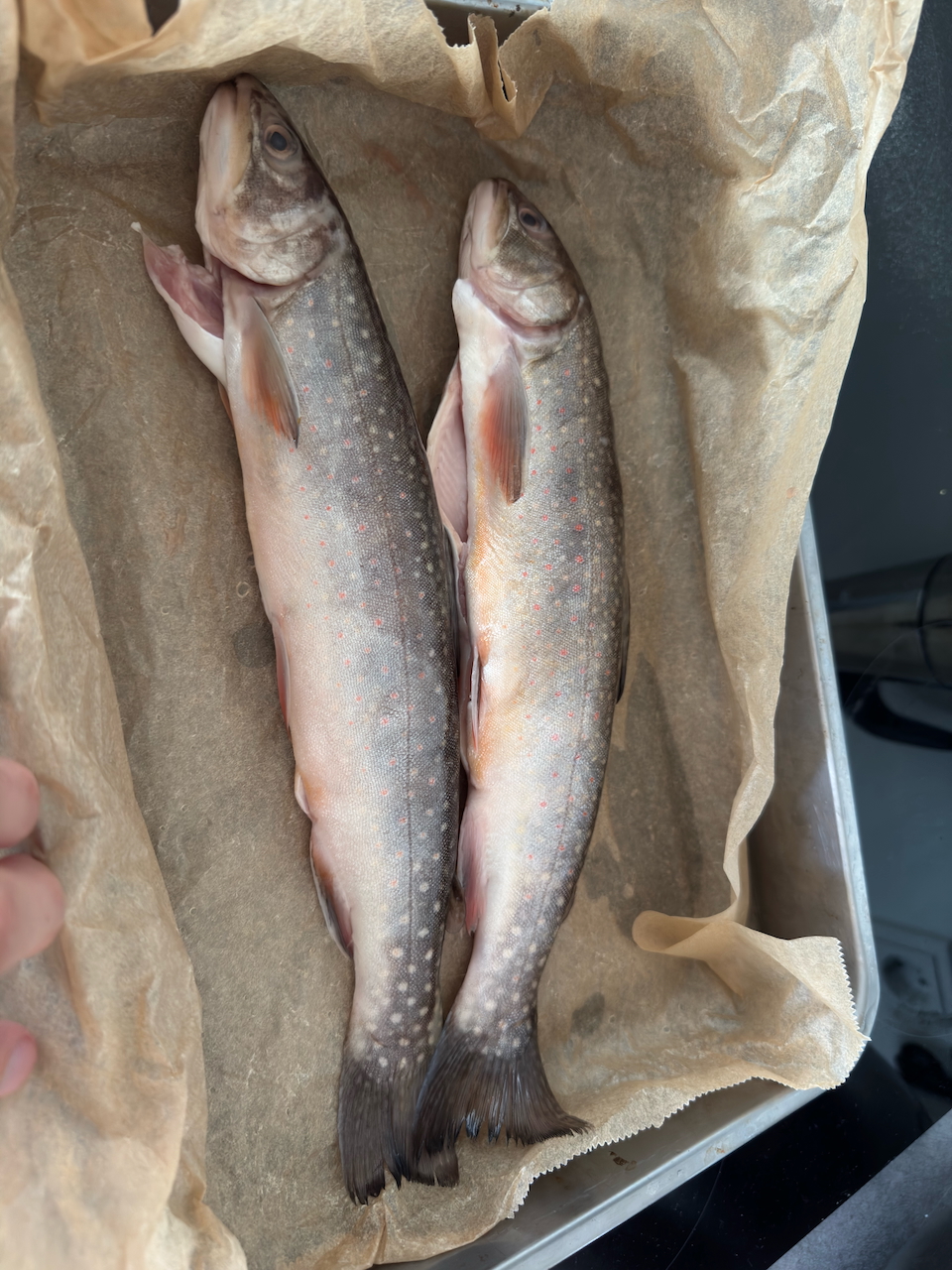 Thumbnail for Forellen aus dem Ofen