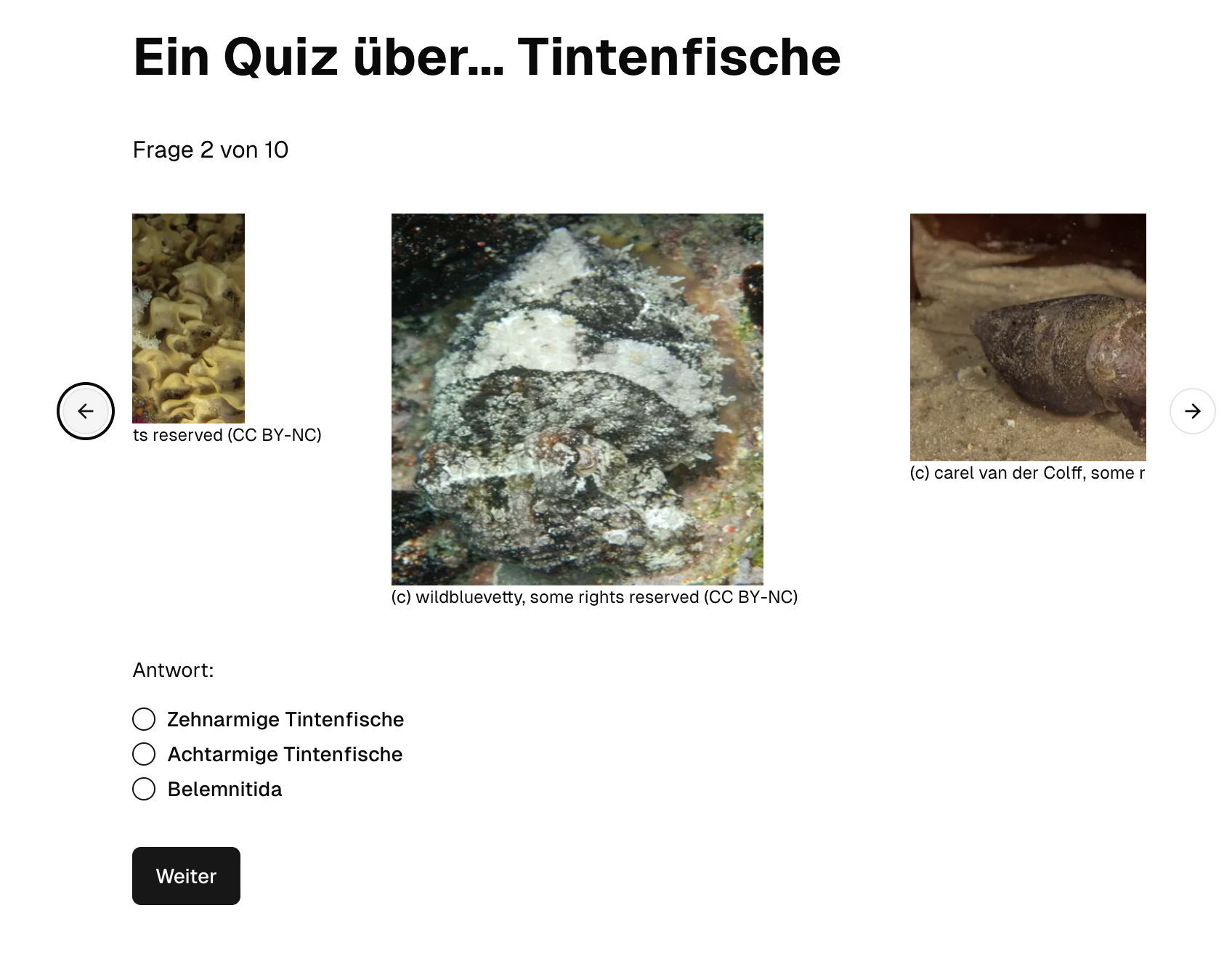 Thumbnail for Taxonoquizzer